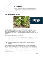 les-lgumes-vivaces.pdf