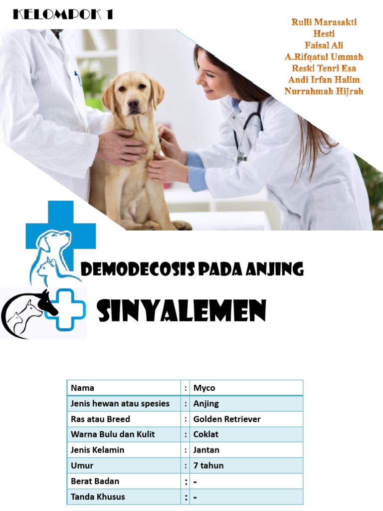 Pemeriksaan Demodecosis Pada Anjing1