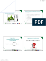 6700 - Agentes Economicos Manual PDF