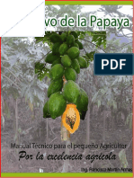 instructivotecnicoparaelagricultordelapapaya-120912122219-phpapp02.pdf