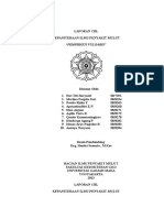 Laporan CBL Pemphigus Vulgaris