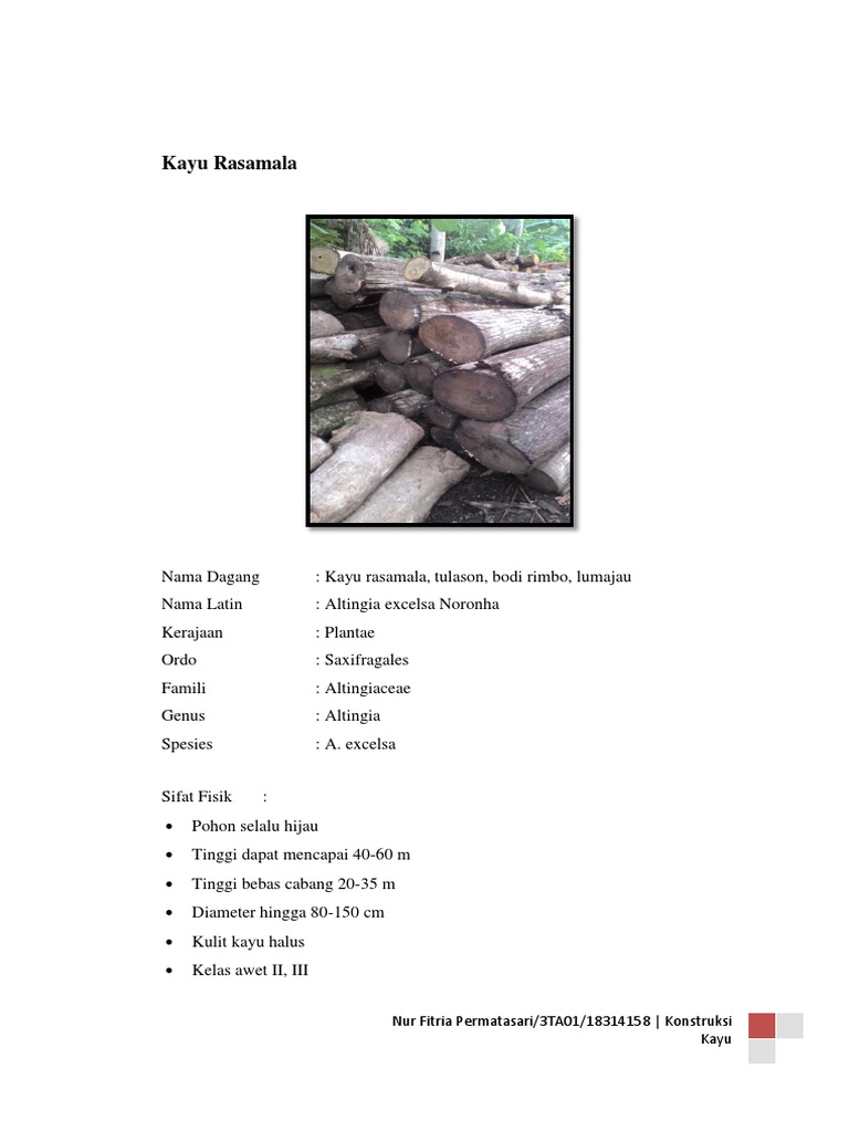 Manfaat dan Karakteristik Kayu Rasamala | PDF