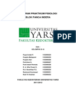 Laporan Praktikum Fisiologi Pancaindera