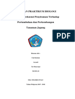 LAPORAN PRAKTIKUM BIOLOGI (Pengaruh Frekuensi Penyiraman Terhadap Pertumbuhan Dan Perkembangan Tanaman Jagung)