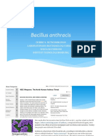 Bacillus Anthracis