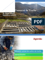 cursoproducciondetrucha-130408235125-phpapp02.pdf