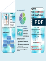 Acute Flaccid Paralysis Leaflet