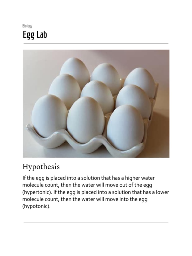 Egg Lab Hypothesis PDF