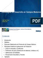 3.EstrategisdedesarrolloenCamposmaduros F