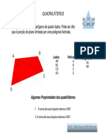 4 Quadriláteros.pdf