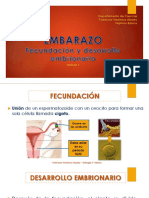 Embarazo y métodos anticonceptivos 40c