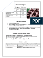 Fisa Tehnologica Socinichi Prajitura