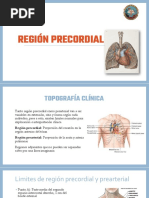Anatomía y Patología de la Región Precordial | PDF | Sistema ...
