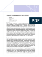 Strategic Risk Management Project (SRMP)