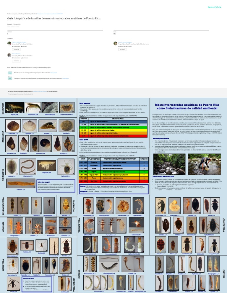 Guía de macroinvertebrados acuáticos PR | PDF | Organismos | Naturaleza