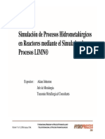 SIMULATION OF HYDROMETALLURGICAL PROCESS IN REACTORS BY THE PROCESS SIMULATOR LIMN.pdf