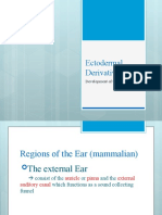 4 Development of The Ear