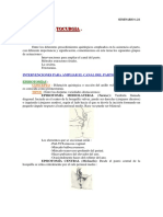 Seminario1b PDF