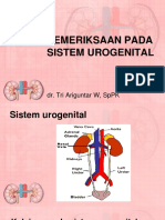 Kuliah Sistem Urogenital 2015