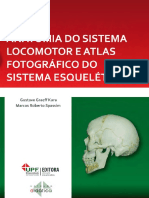 Anatomia do Sistema Locomotor.pdf