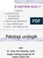 UROPATOLOGI Rangkum Marene