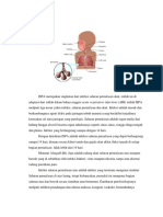 Lampiran 2 Booklet Ispa Idham Oke