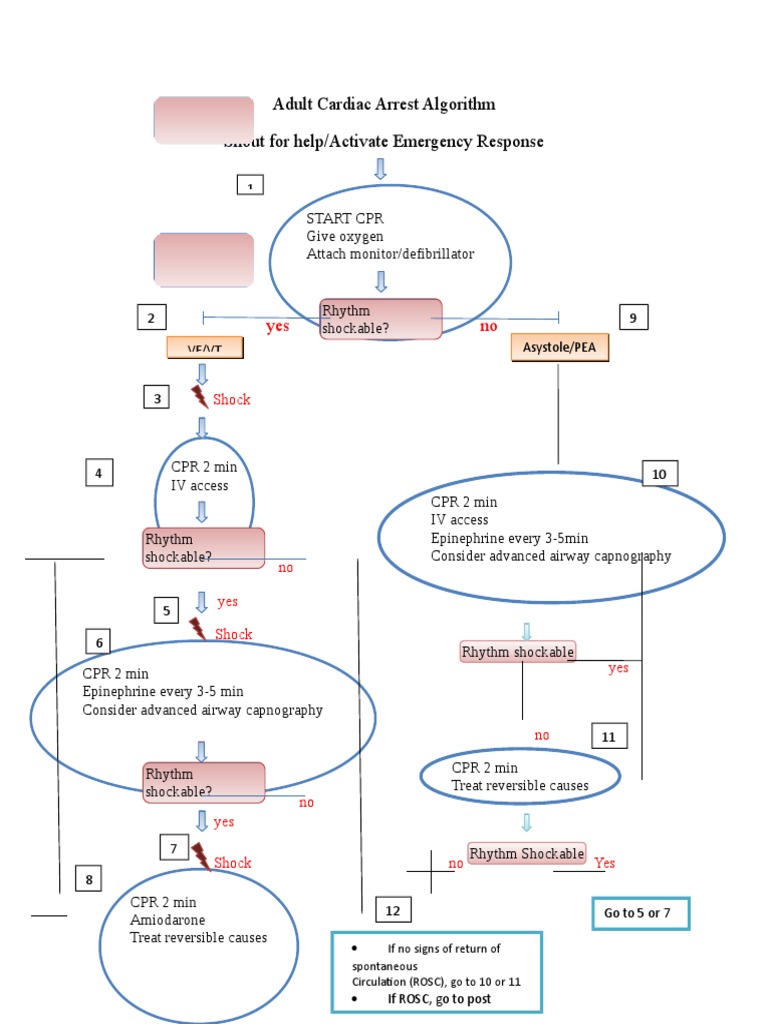 Adult Cardiac Arrest Algorithm Shout For Help/activate Emergency ...