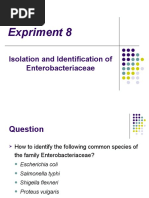 Enterobacteriaceae