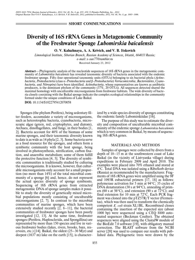 Diversity of 16S rRNA Genes in Metagenomic Community of The Freshwater ...