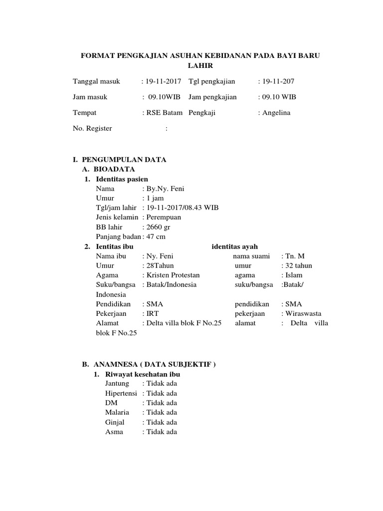 Format Pengkajian Asuhan Kebidanan Pada Bayi Baru Lahir  PDF