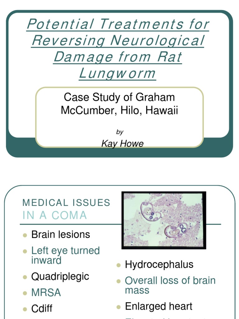 12 Howe Angio Workshop | PDF | Omega 3 Fatty Acid | Antioxidant