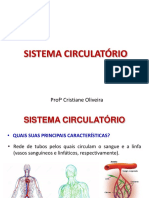 Sistema Circulatório.pdf