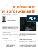 1_Accidentes_comunes.pdf