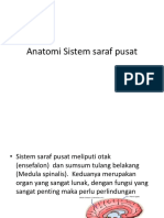 Anatomi Sistem Saraf Pusat