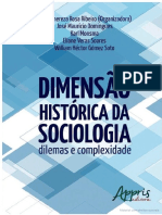 Dimensão historica da teoria sociológica - dilemas e perspectivas - M. Domingues.pdf