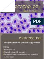Blood Proto I