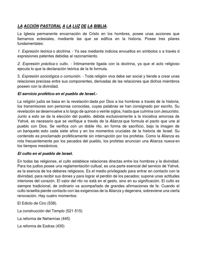 Acción Pastoral en la Historia de la Iglesia | PDF | Iglesia Católica ...