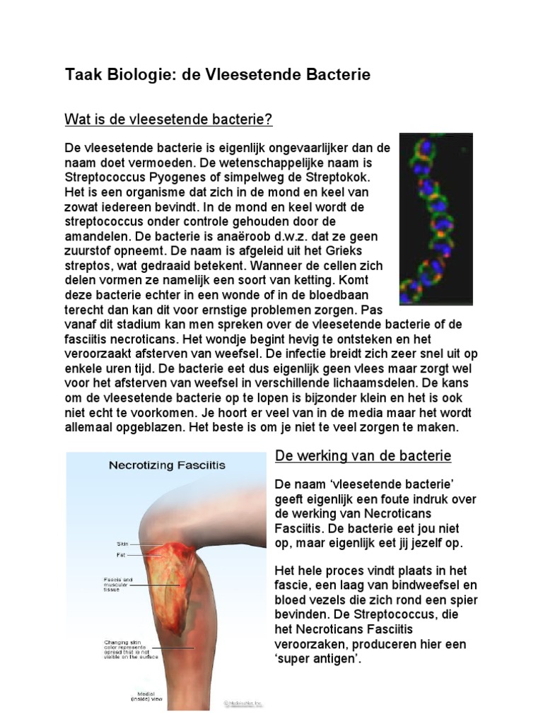 Taak Biologie Vleesetende Bacterie PDF
