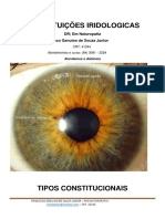 Constituição cursos e atendimentos.pdf