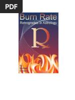 Download Burn Rate Book by Michael Erlewine SN37215705 doc pdf