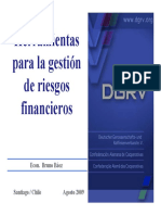 DGRV - Herramientas para la gesti¢n de riesgos - Bruno B ez AGO2009 V18.pdf