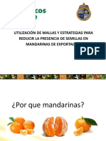 DISEO-DE-UNA-ESTRATEGIA-PARA-REDUCIR-SEMILLAS-Comite-de-Citricos.pdf