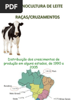 Raças e cruzamentos de bovinos de leite