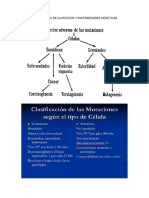 Resumen Final Molecular 2