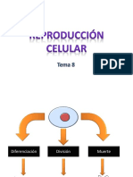 Repro Ducci on Celular