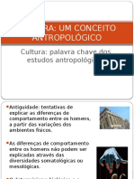 Cultura Um Conceito Antropológico