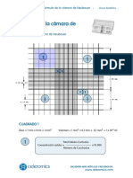 Formula Camara Neubauer Concentracion PDF