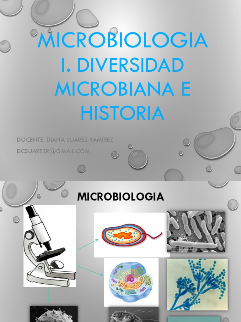 Diversidad y Clasificación de Microorganismos | PDF