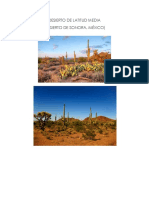 Desierto de Sonora