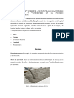 Proyecto de Fisica 1 UTM